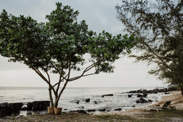 Unleashing Your Wanderlust: The Art of Travel Blogging